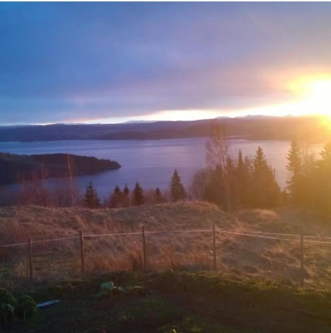 Guesthouse Hamran Mosvik エクステリア 写真