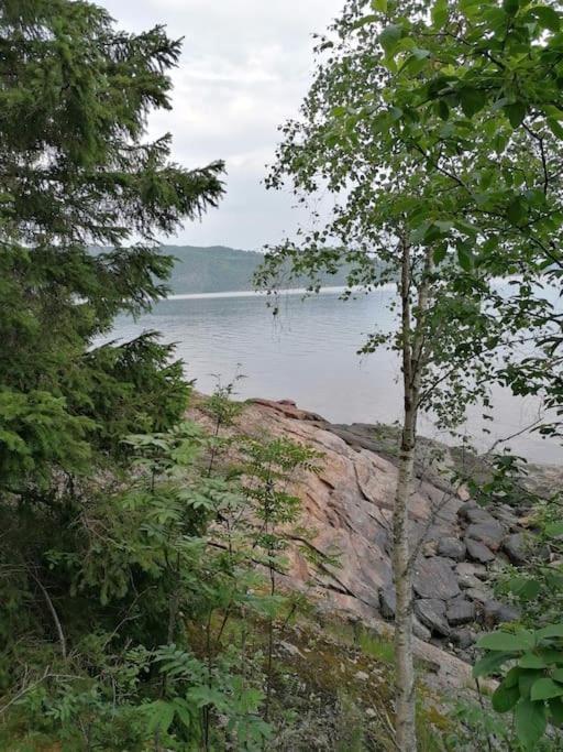 Guesthouse Hamran Mosvik エクステリア 写真